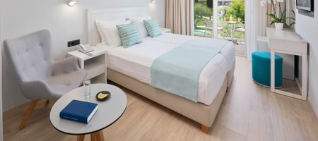 Standard double/twin room garden view