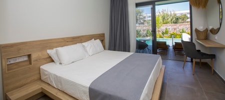 Suite with Private Pool 35 sqrm