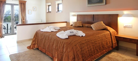 Executive Suite with Mountain View