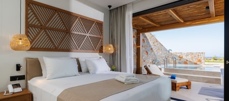 Deluxe Mini Suite with Private Heated* Pool
