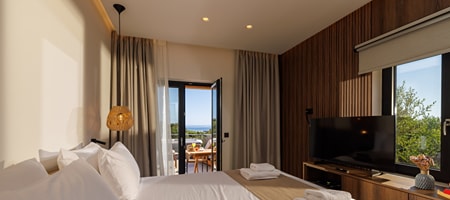 Deluxe Mini Suite with Jacuzzi