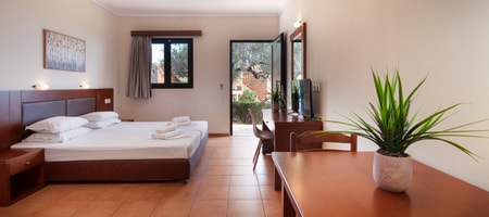 Standard Studio with Garden View