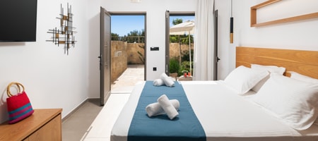 Standard Double Room with Street View