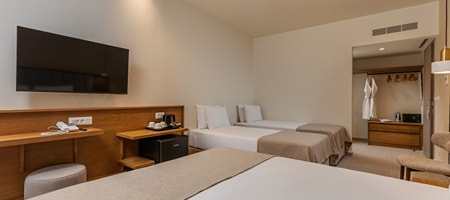 1 Bedroom Family Room