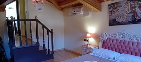 Deluxe Double Room attic with terrace and castle view