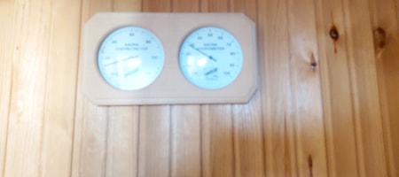 Deluxe Sauna Suite