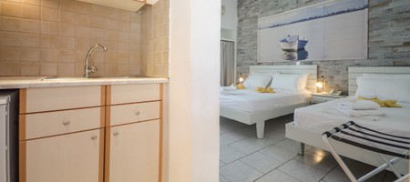 Apartment (Up to 4 guests)