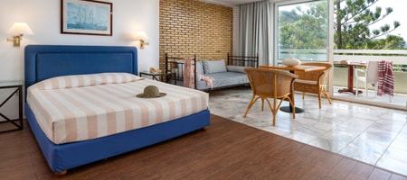 Large Two-Room Apartment