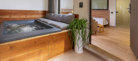 Two Bedroom Apartment Jacuzzi