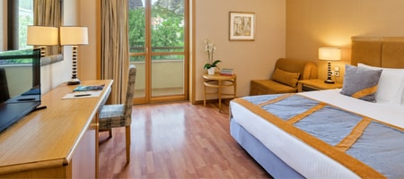 Superior Room with Meteora View