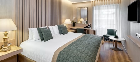 Executive Room with Acropolis View