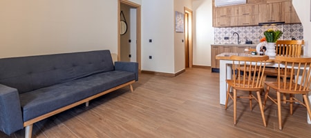 Dionysus One Bedroom Apt with Sofa Bed