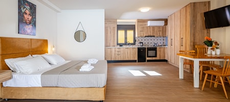 Zeus Studio With Sofa Bed