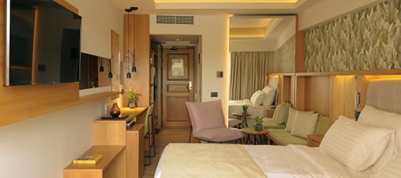 Deluxe Room Mountain View