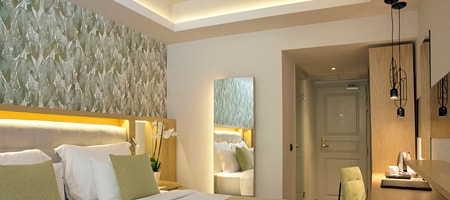 Premium Room Mountain View