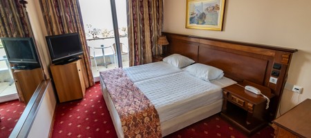 Double or Twin Room Mountain View