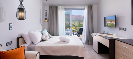 Double Room Mountain View