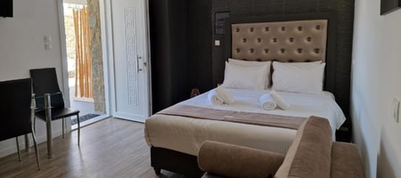 Double Room with Terrace 102