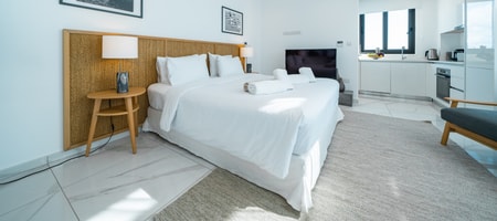 Executive Studio Apartment