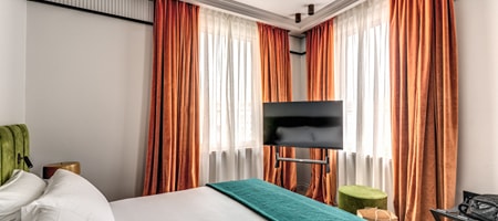 Deluxe Double/ Twin Room