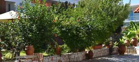 One Bedroom Apartment with Garden View
