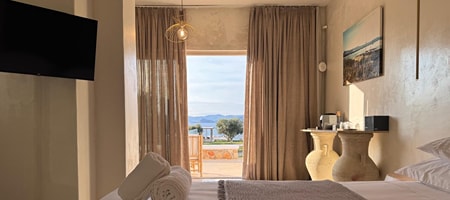 Standard Suite