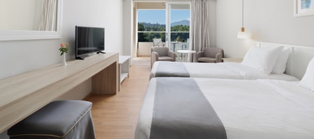 Double or Twin Room with Mountain View
