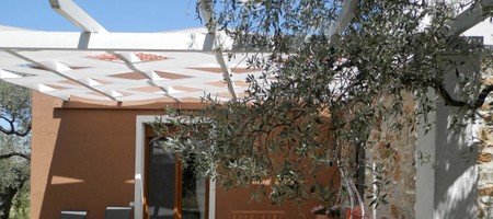 Callistemon villa - H2