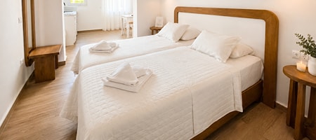 Cycladic Grace Apartment