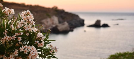 Elefthia Private Living Experience