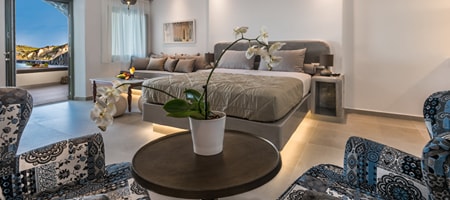 Deluxe Pool Suite