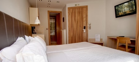 Standard Room with Two Single Beds