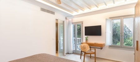 Executive Junior Suite