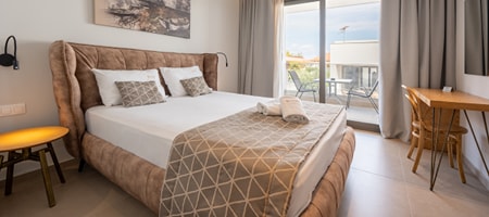 Double Room with Pool View