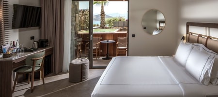 Double Room with Plunge Pool