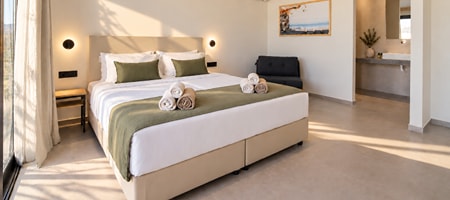 Premium Double Room