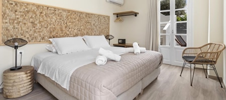 Deluxe room with french door