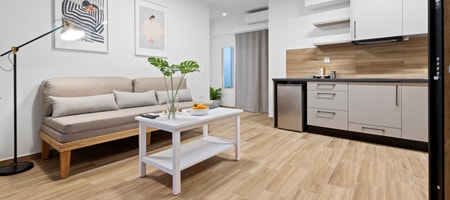 Deluxe One Bedroom Apartment