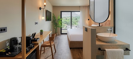 Double Standard Room Pool View