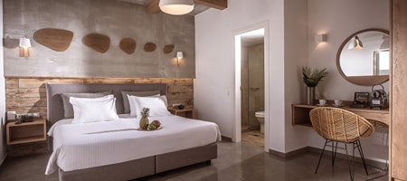 Double Plus Room