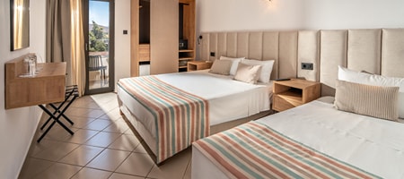 Standard Double Room (2 Adults + 1 Child)