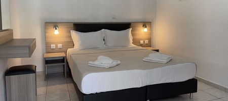 Economy Triple Room (Pet-Friendly)