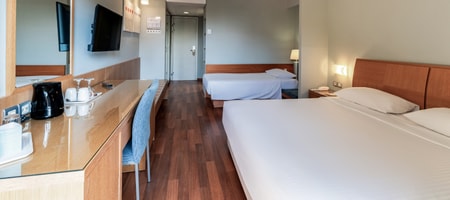 Standard Double Room with Garden View