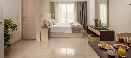 Studio with King Bed