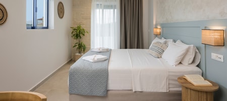 Superior Studio with King Bed