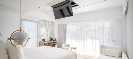 Luxury Suite
