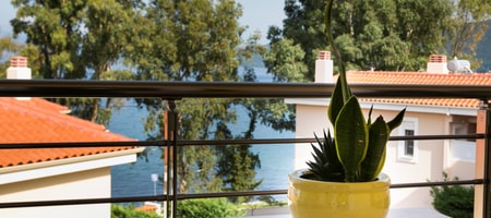 Partial Sea View Suite