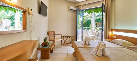 Double Room Mountain View