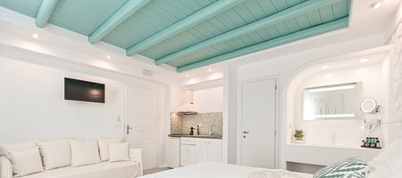 Junior Suite (2-3 Adults)