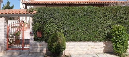 Evi's Voula Home